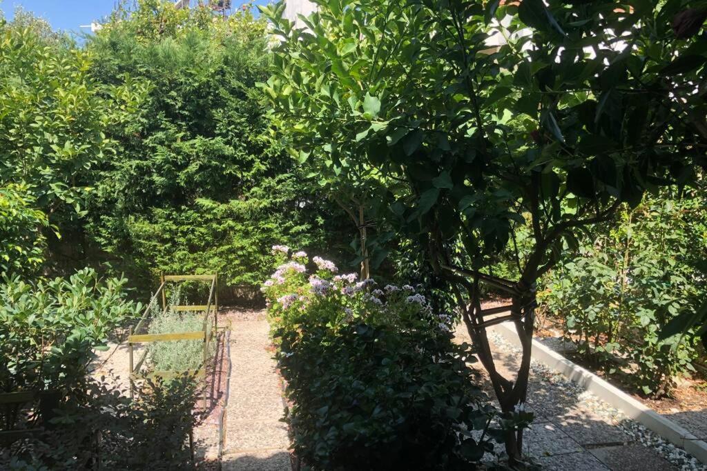 Ανακαινισμενη Μονοκατοικια 125 Τμ Στο Κεντρο Με Κηπο Villa Mesolóngion Exteriör bild